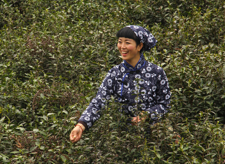 烟灰缸密语